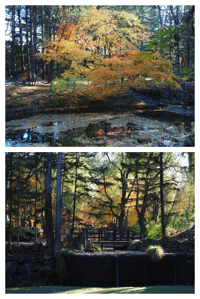 231102-Manabe_12
