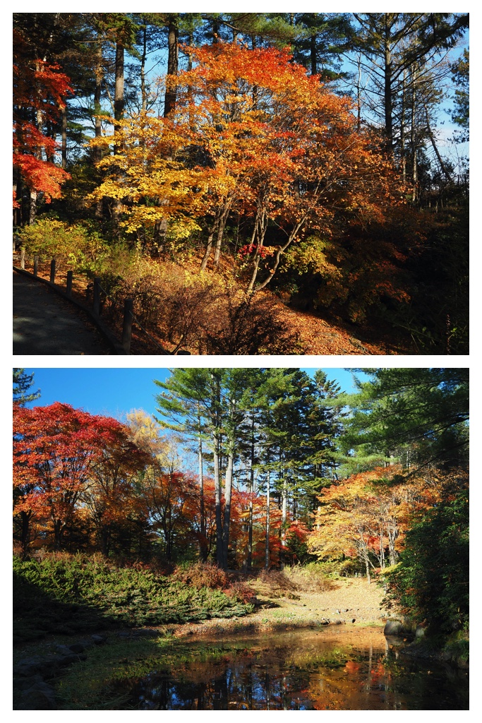 231102-Manabe_6