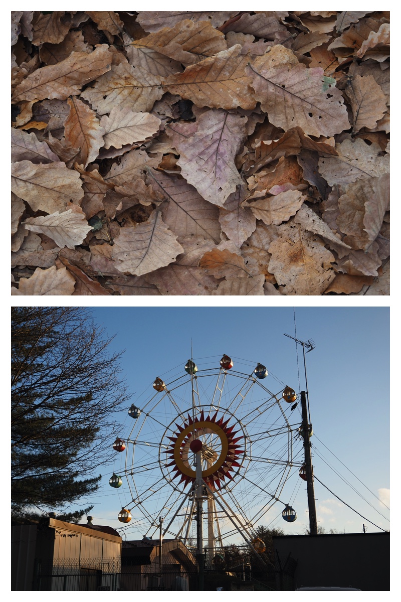 231109_Greenpark_10