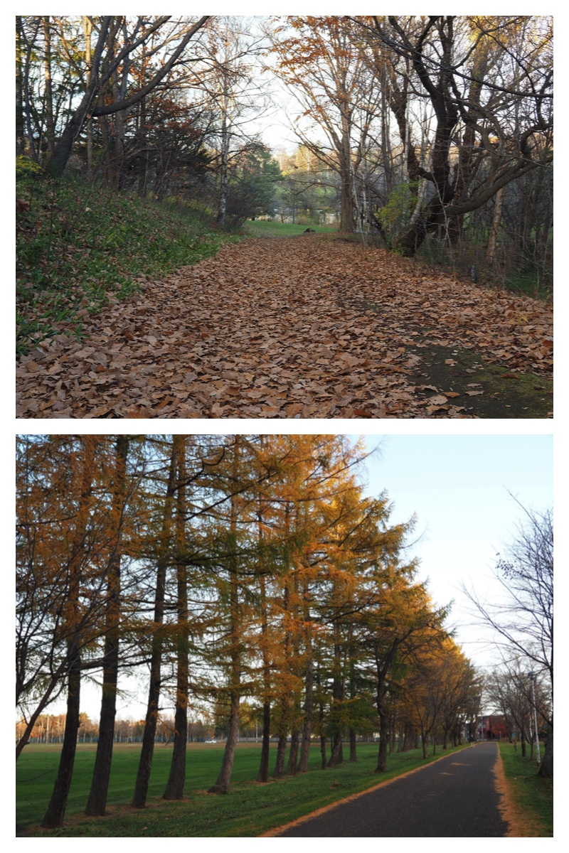 231109_Greenpark_13