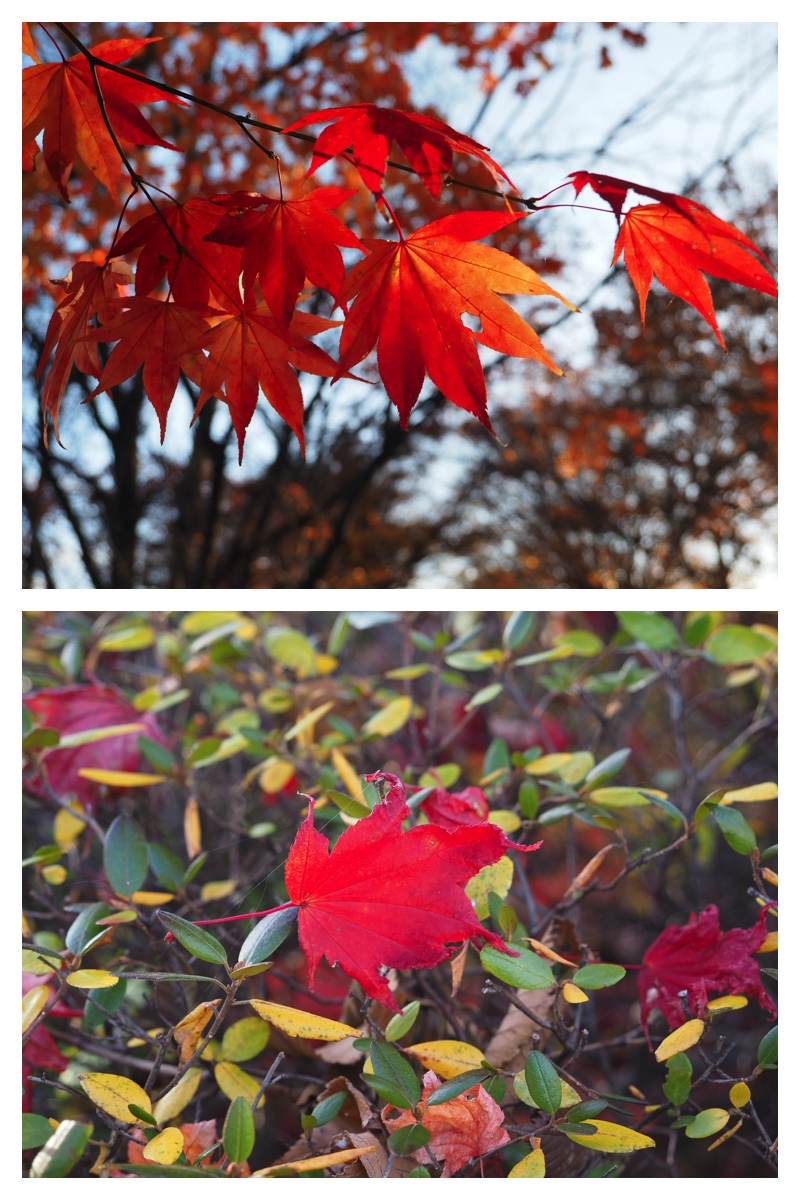 231109_Greenpark_4
