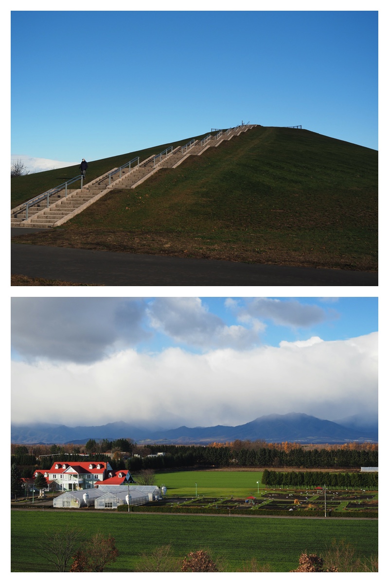 Ezorisu_231119_1