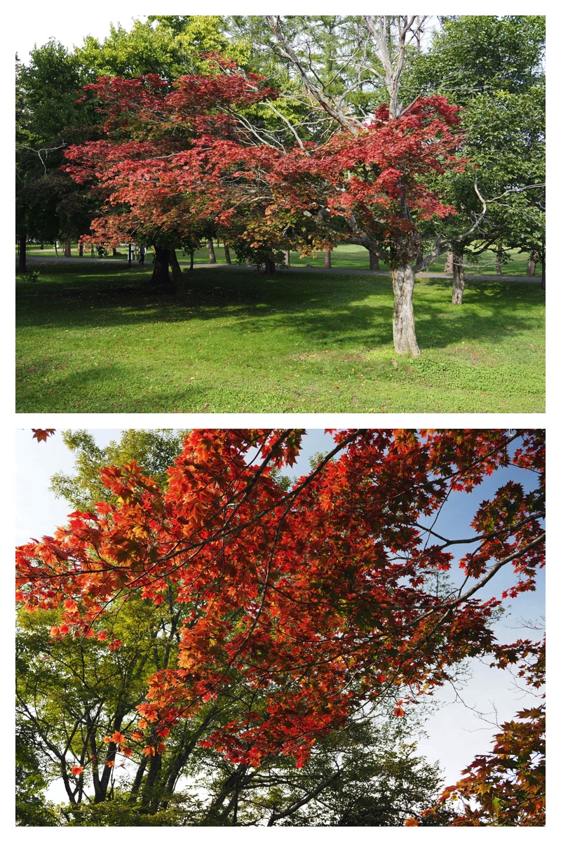 2023-10-14-Greenpark_3