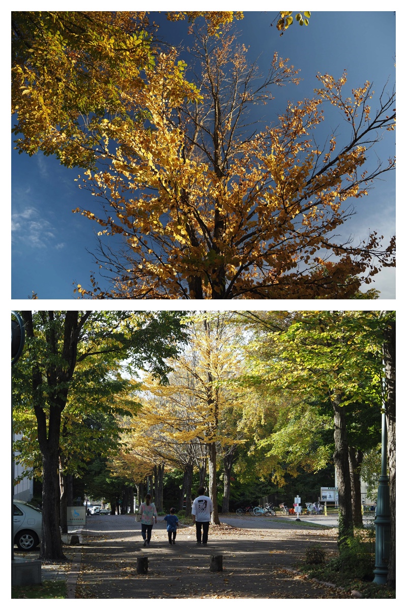2023-10-14-Greenpark_7