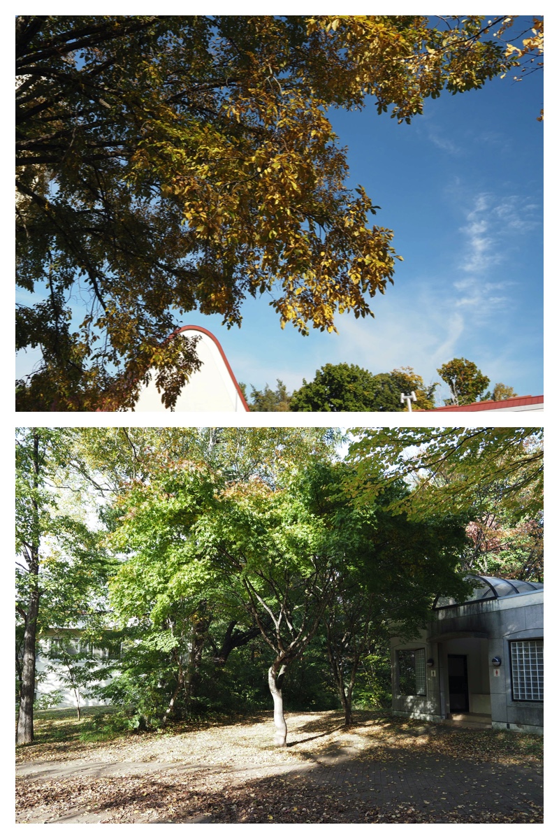 2023-10-14-Greenpark_8