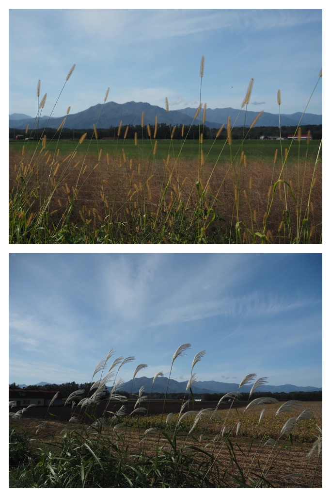 20231009-Arashiyama_8