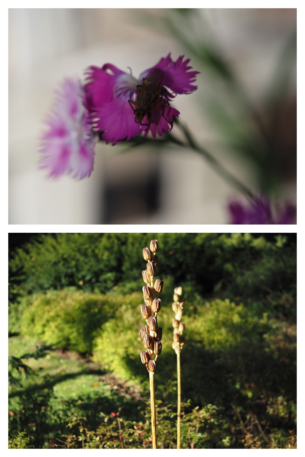 20231011_Manabe_18