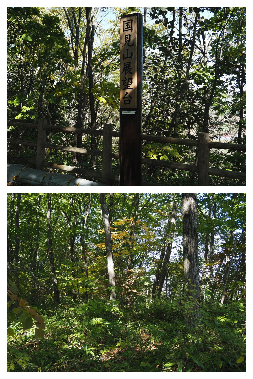 20231013-Kunimiyama_11