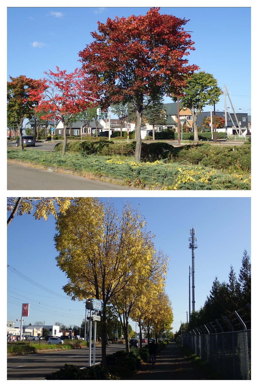 20231013-Kunimiyama_16