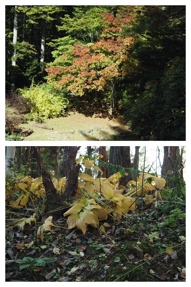 231018-Manabe_11