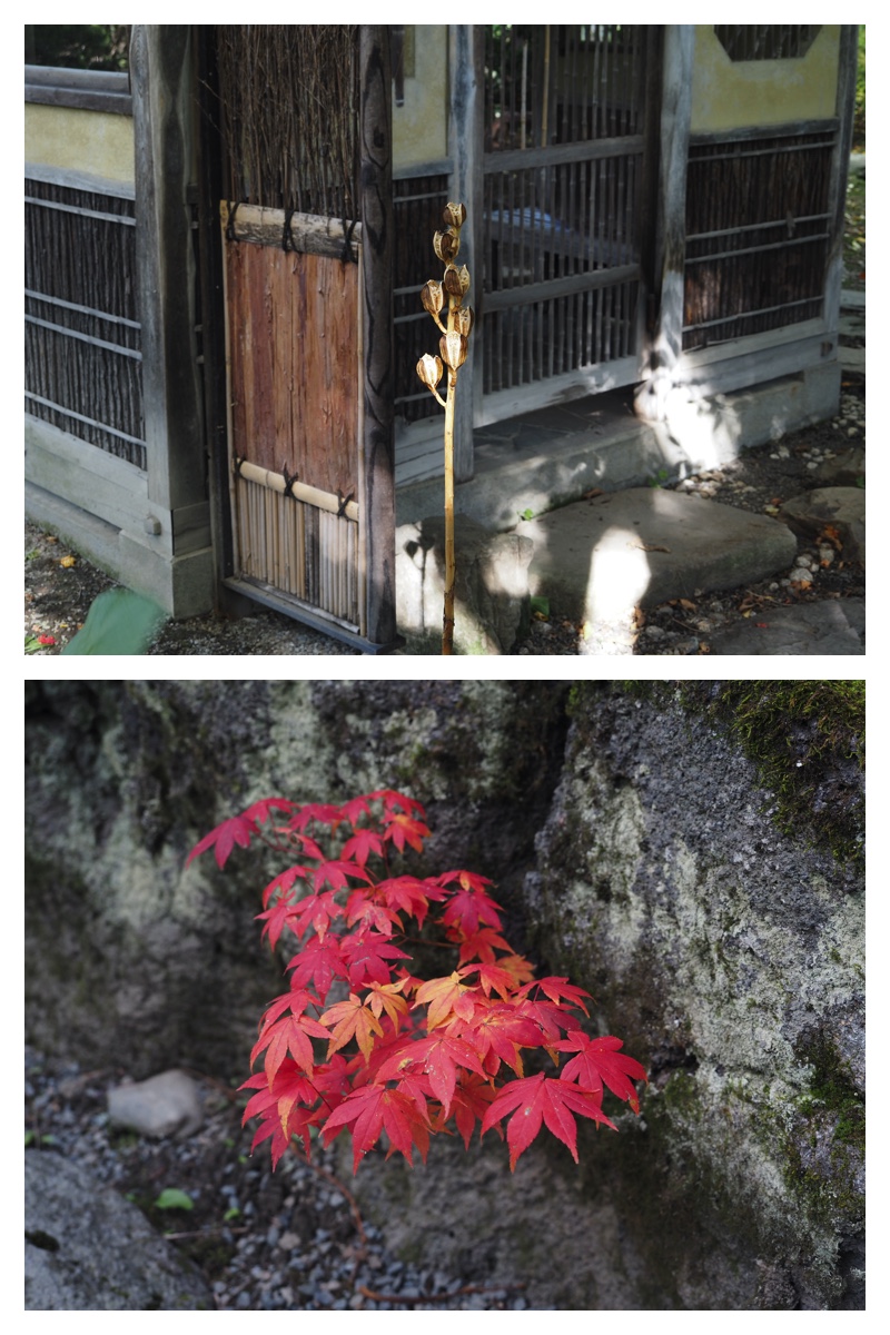 231018-Manabe_2