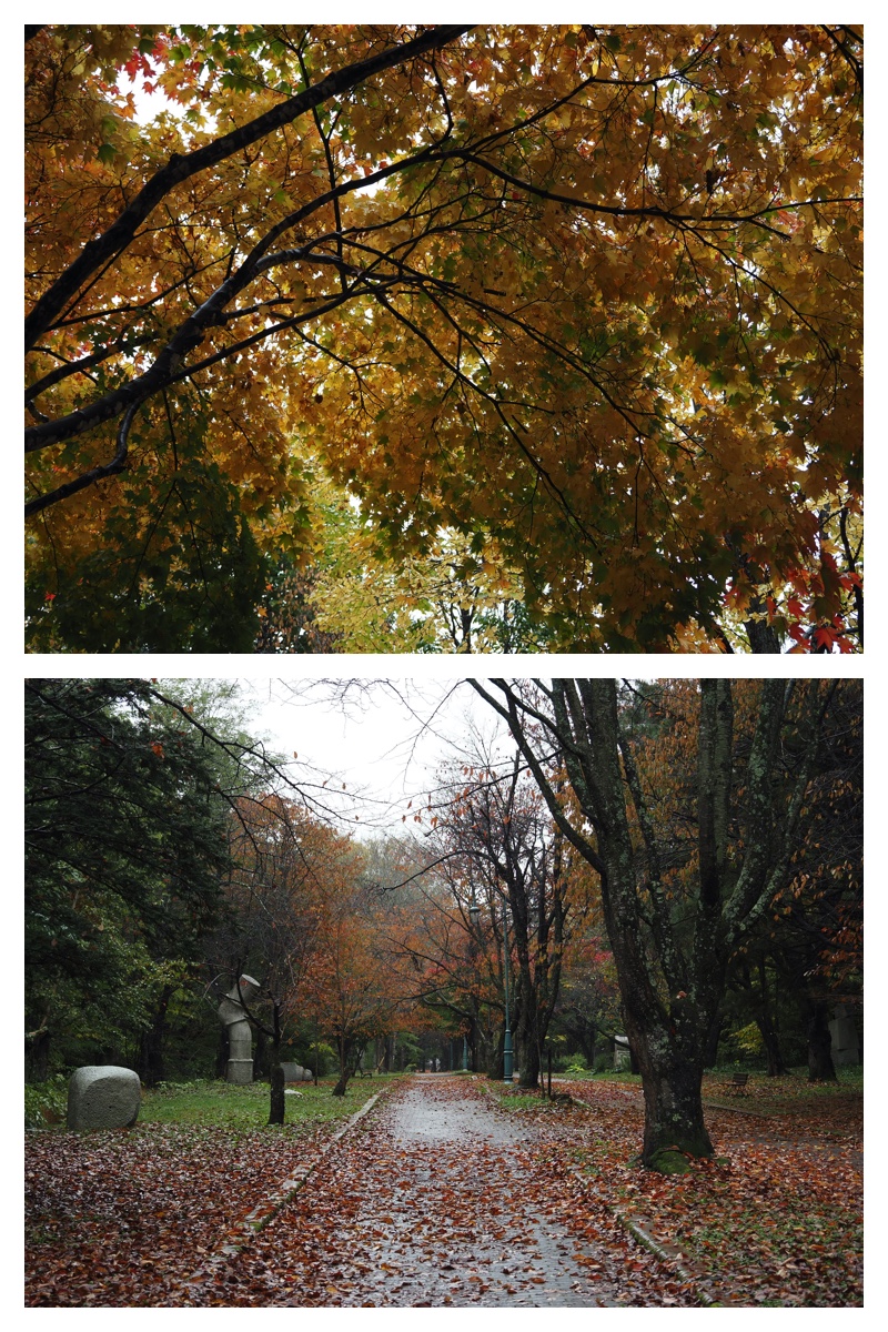 231020_Centennial_13