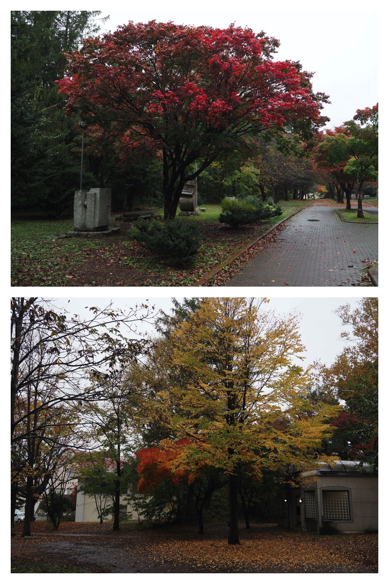 231020_Centennial_17
