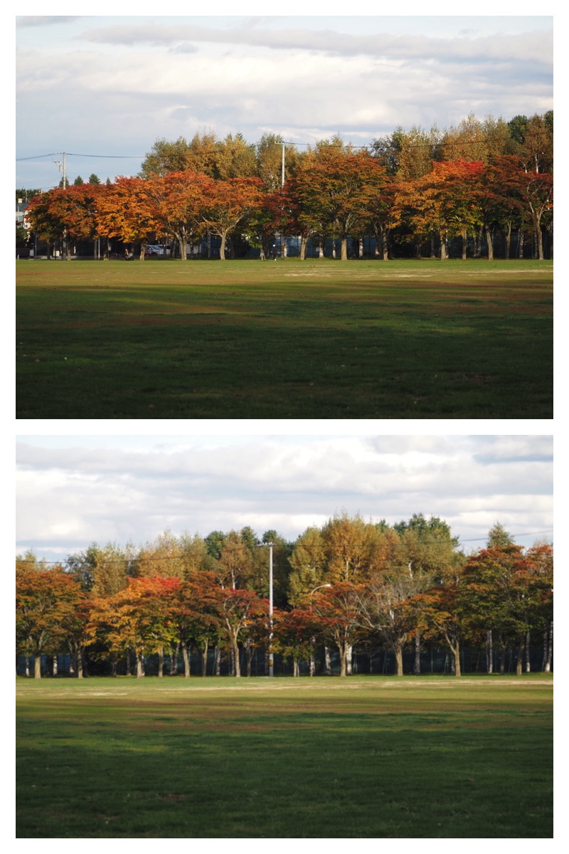 231022_Midorigaoka_20