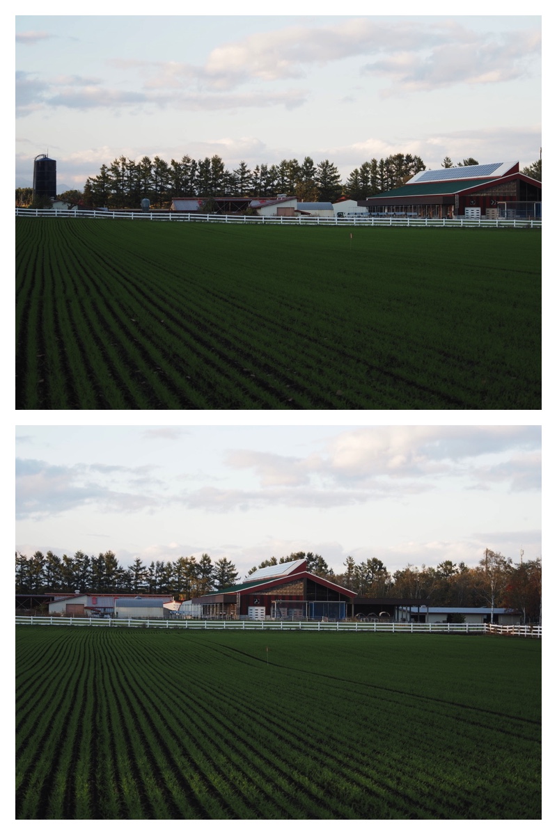 231023_Urikai_16