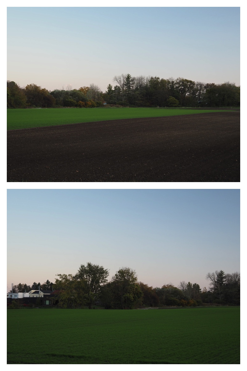 231023_Urikai_18