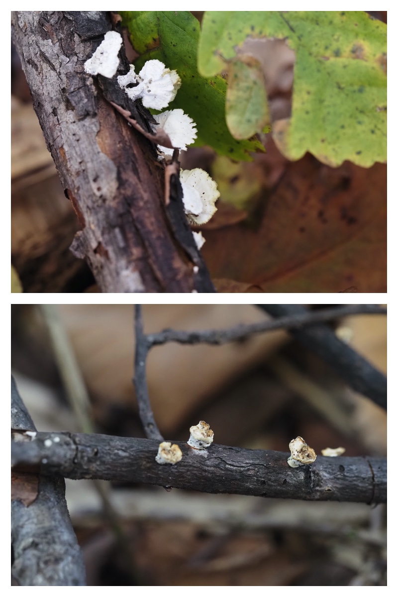 231024_Macro_13