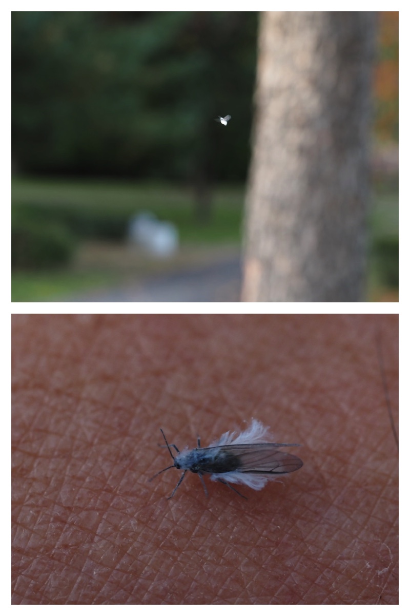231024_Macro_15