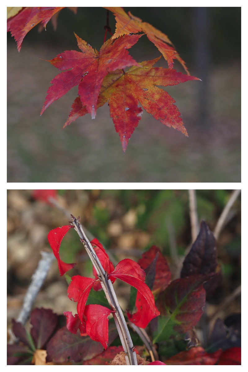 231024_Macro_18