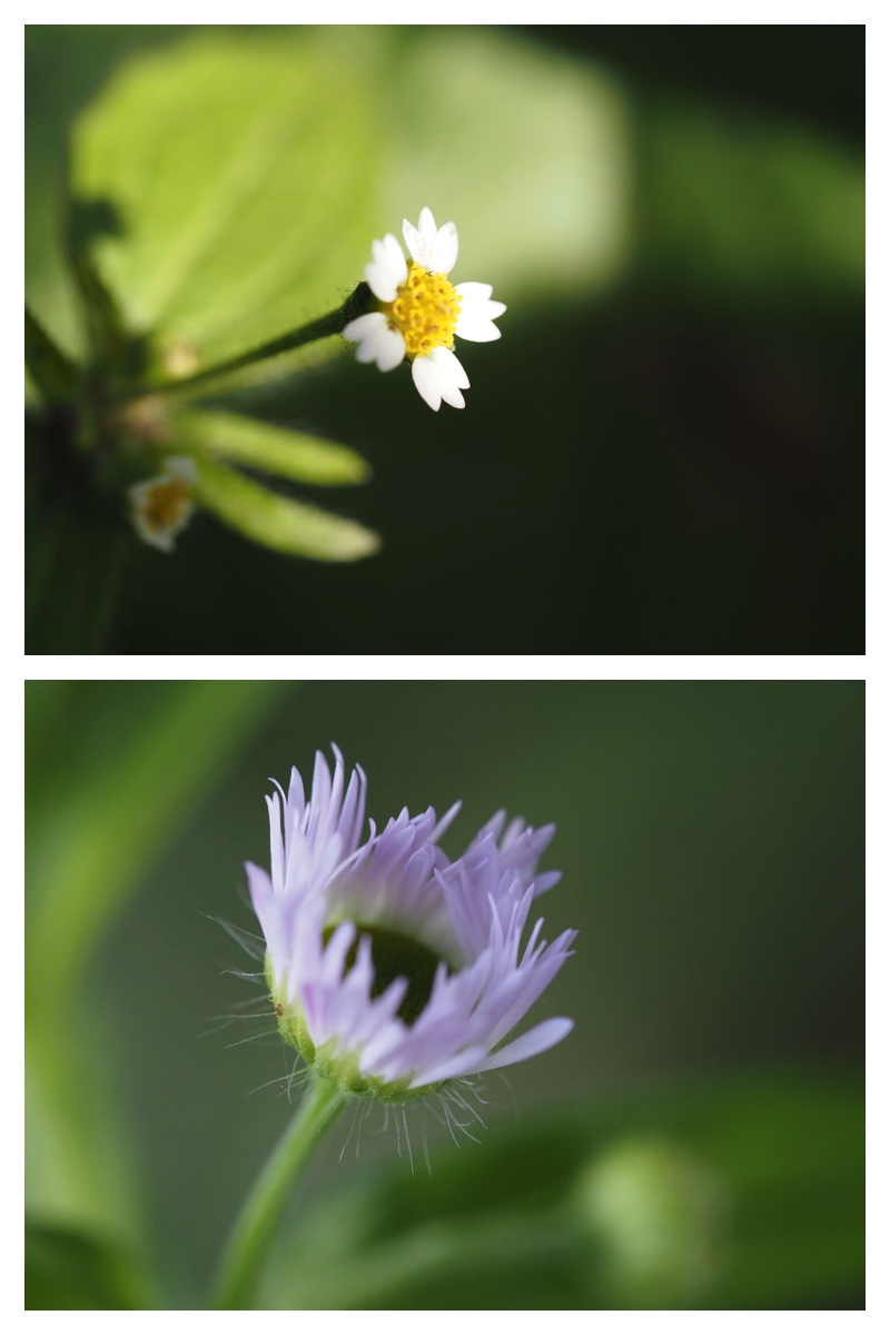231024_Macro_2