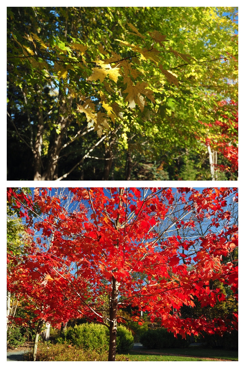 231025_Manabe_13