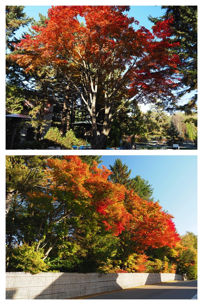 231025_Manabe_15