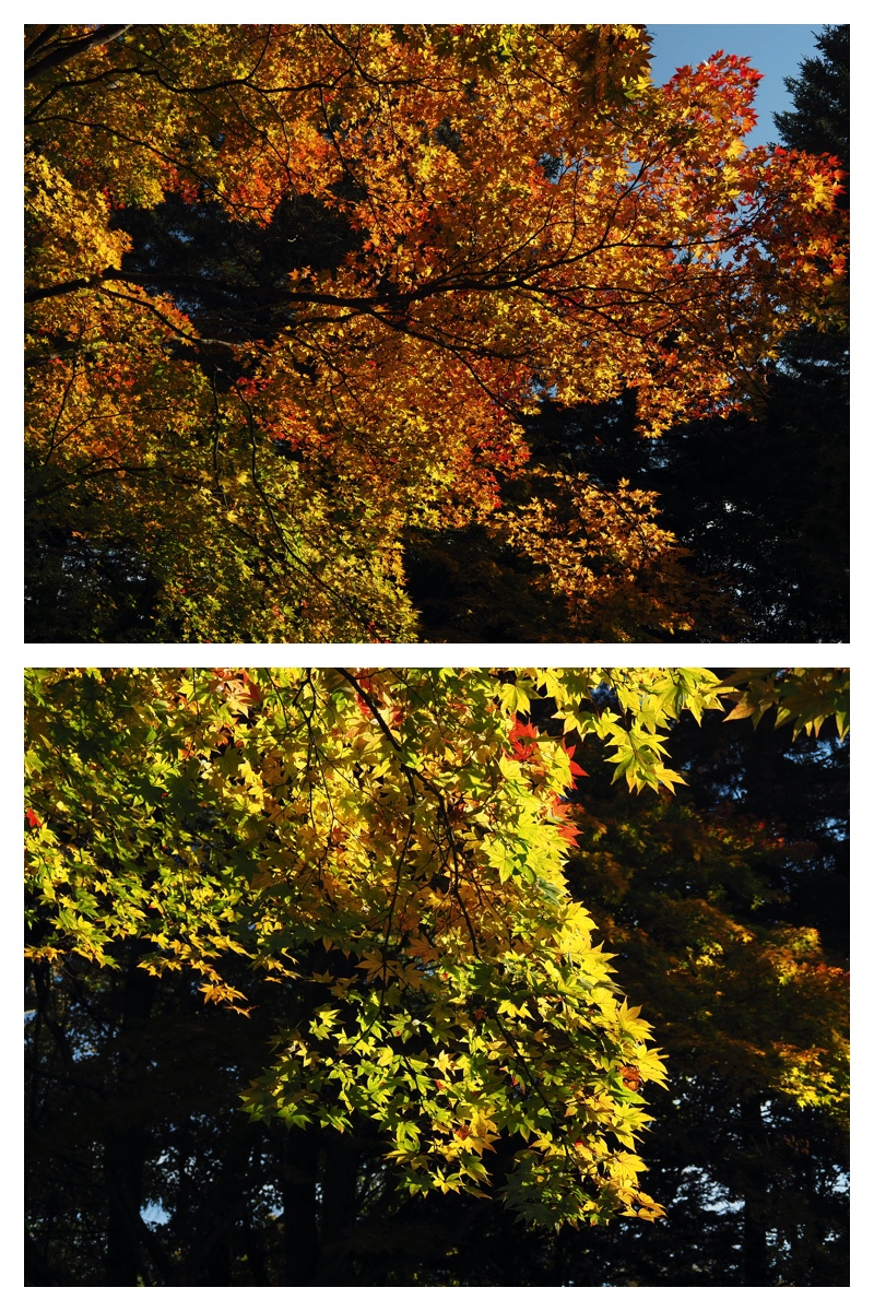 231025_Manabe_2