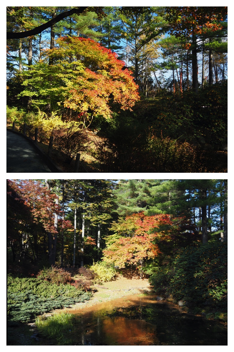 231025_Manabe_7