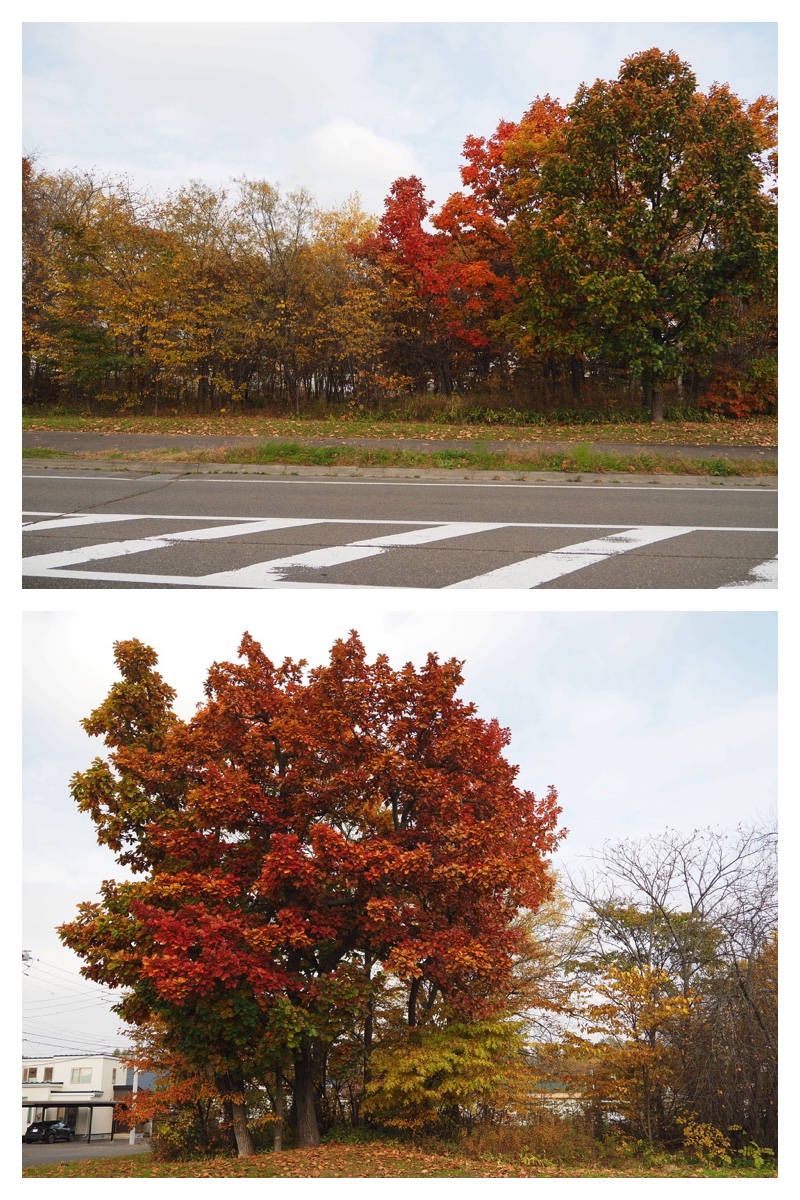 231028_Walk_1