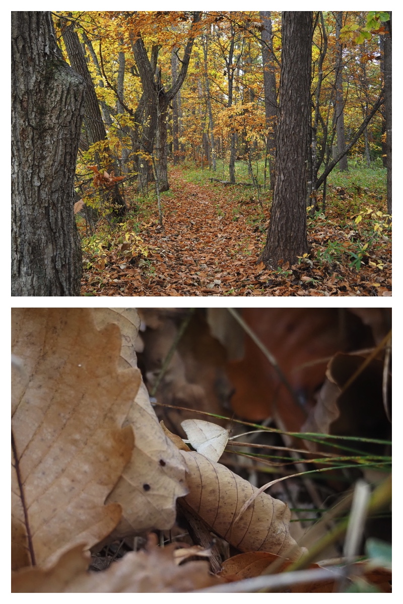 231028_Walk_14