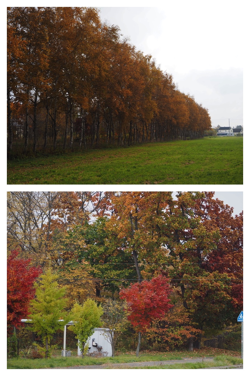 231028_Walk_16