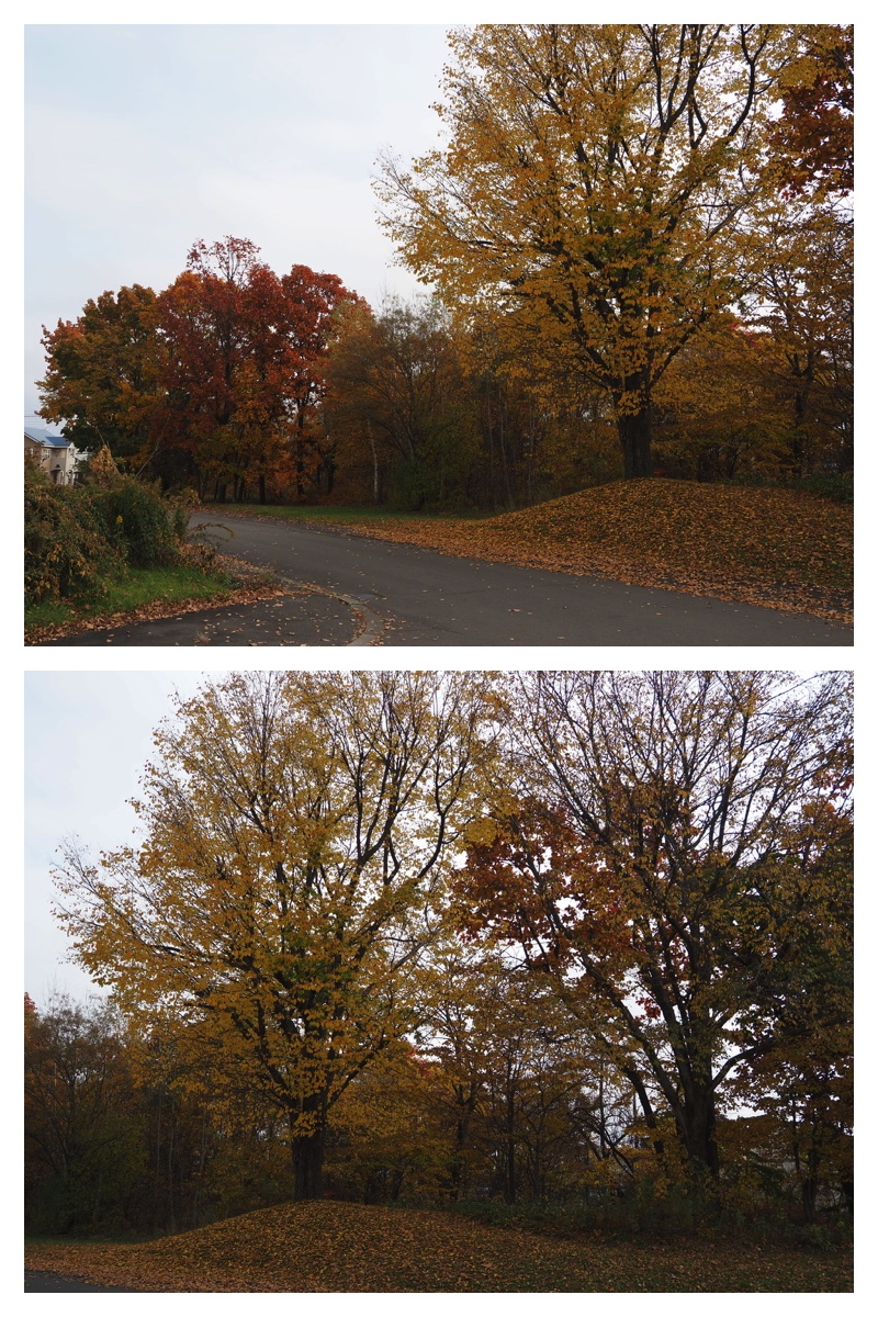 231028_Walk_2