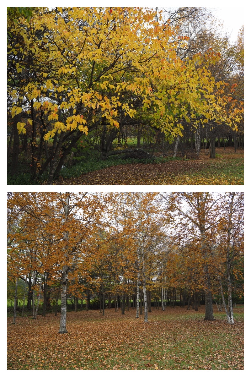 231028_Walk_9