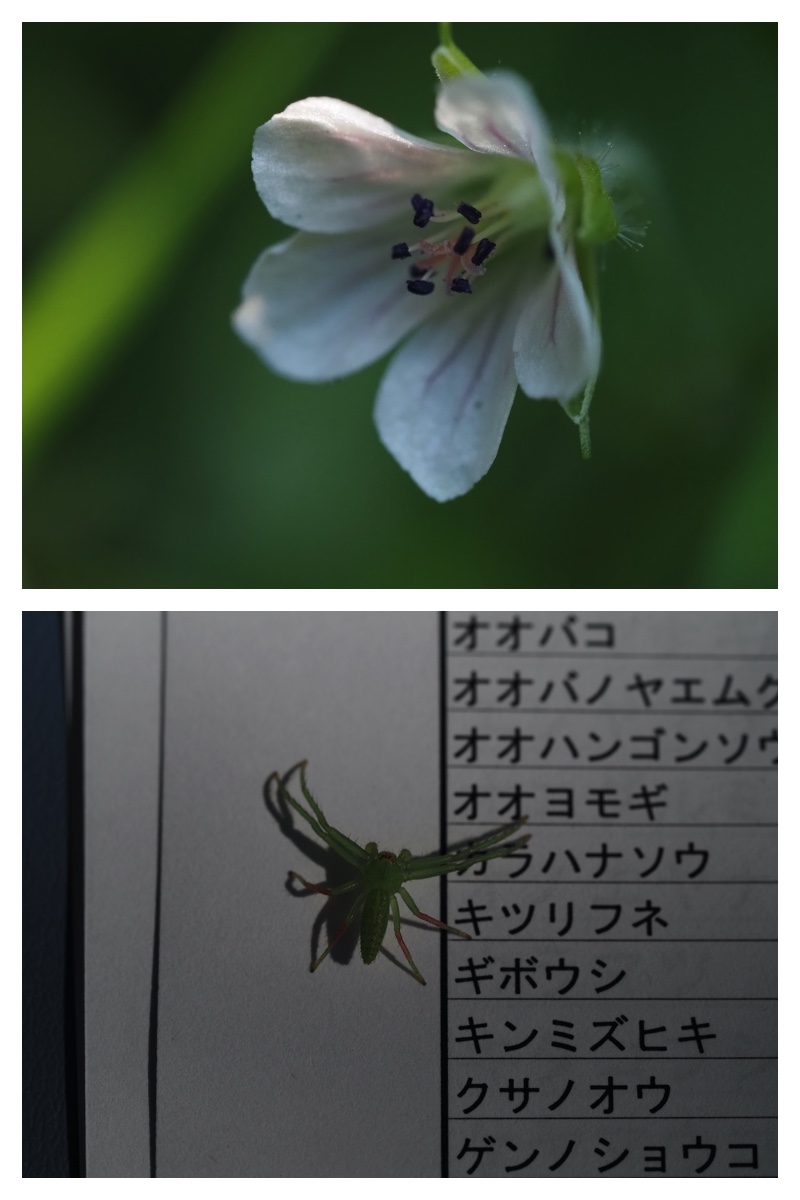 2023-09-03_Chou_22