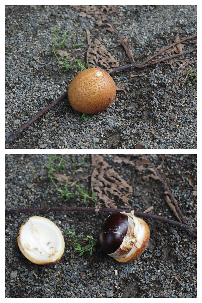 2023-09-06_Walk_5
