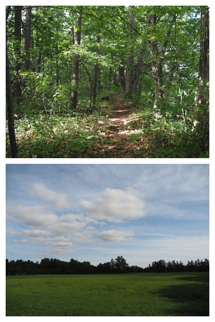 2023-09-09_Walk_10