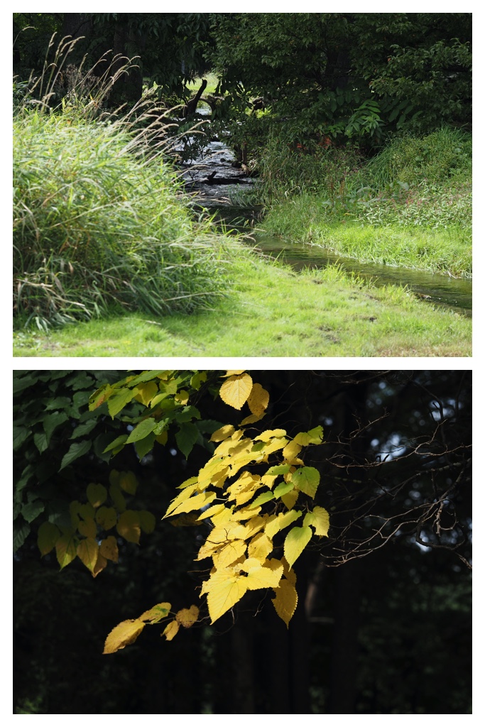 2023-09-09_Walk_17