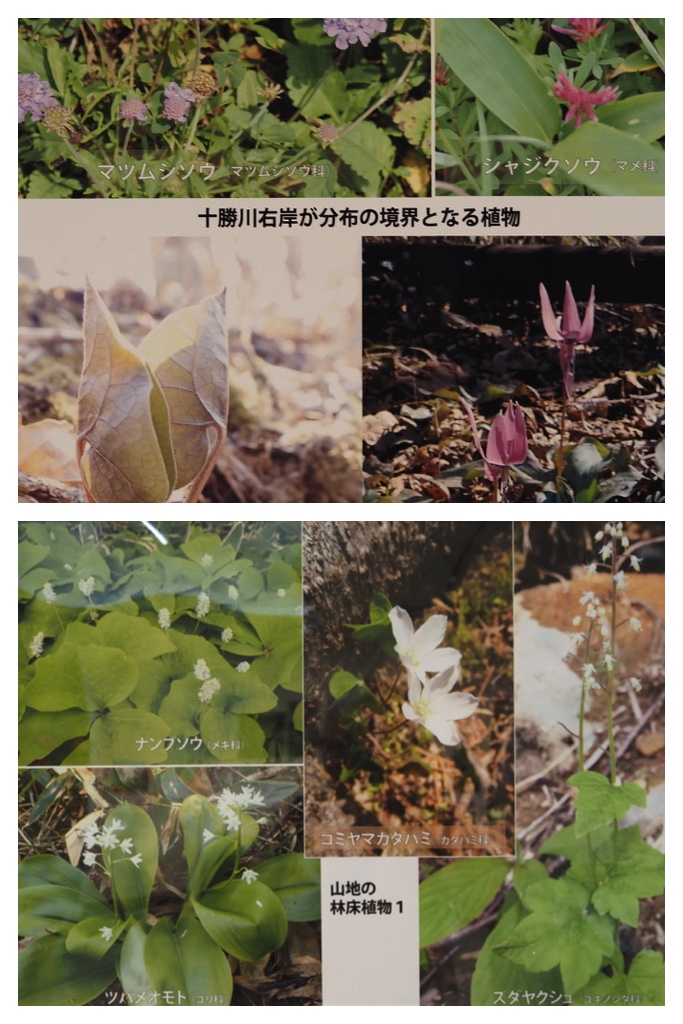 2023-09-10_Tokachi-bio_4
