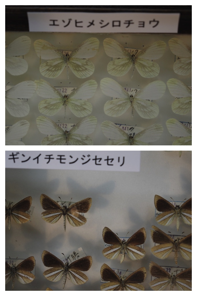 2023-09-10_Tokachi-bio_7