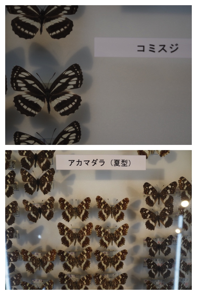 2023-09-10_Tokachi-bio_8