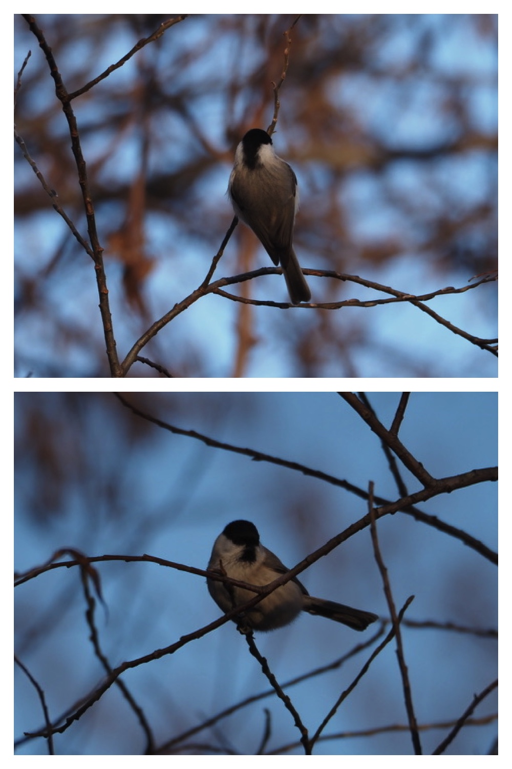 241205_Walk_2