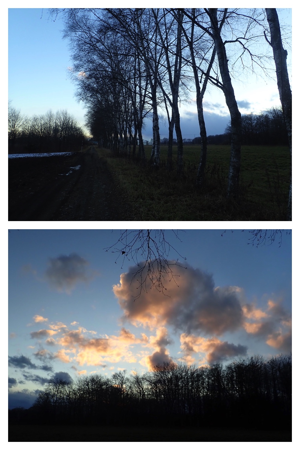 241205_Walk_6
