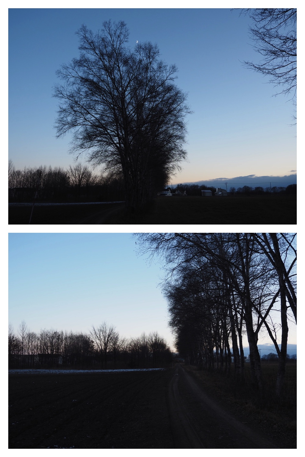 241207_Walk_10