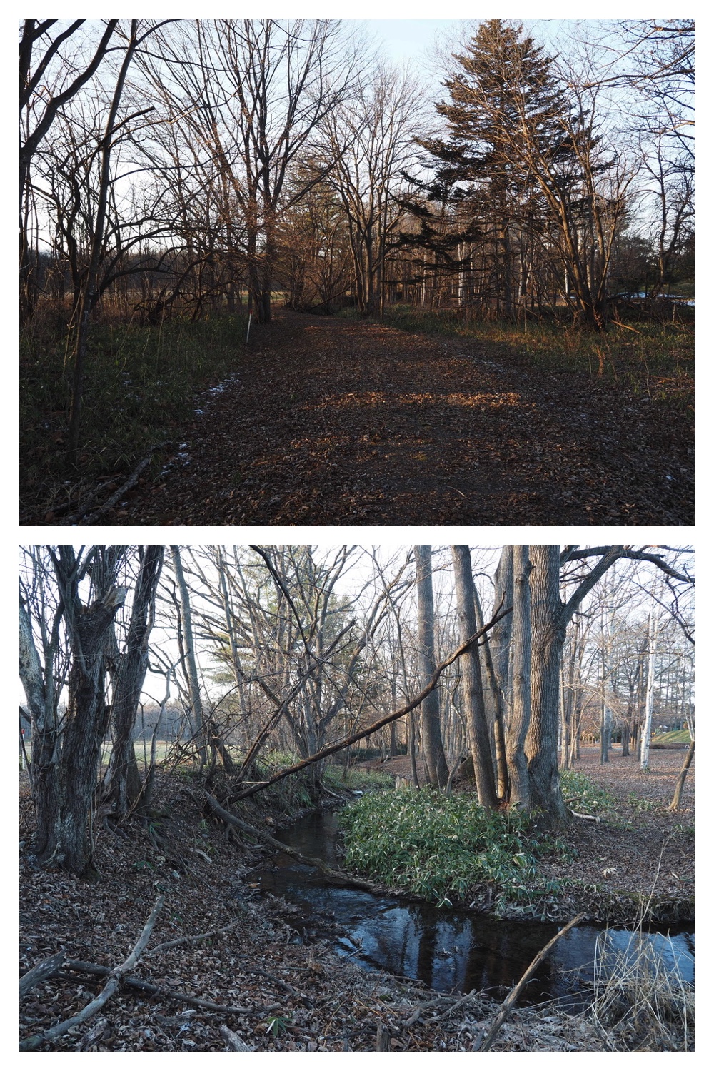 241207_Walk_2