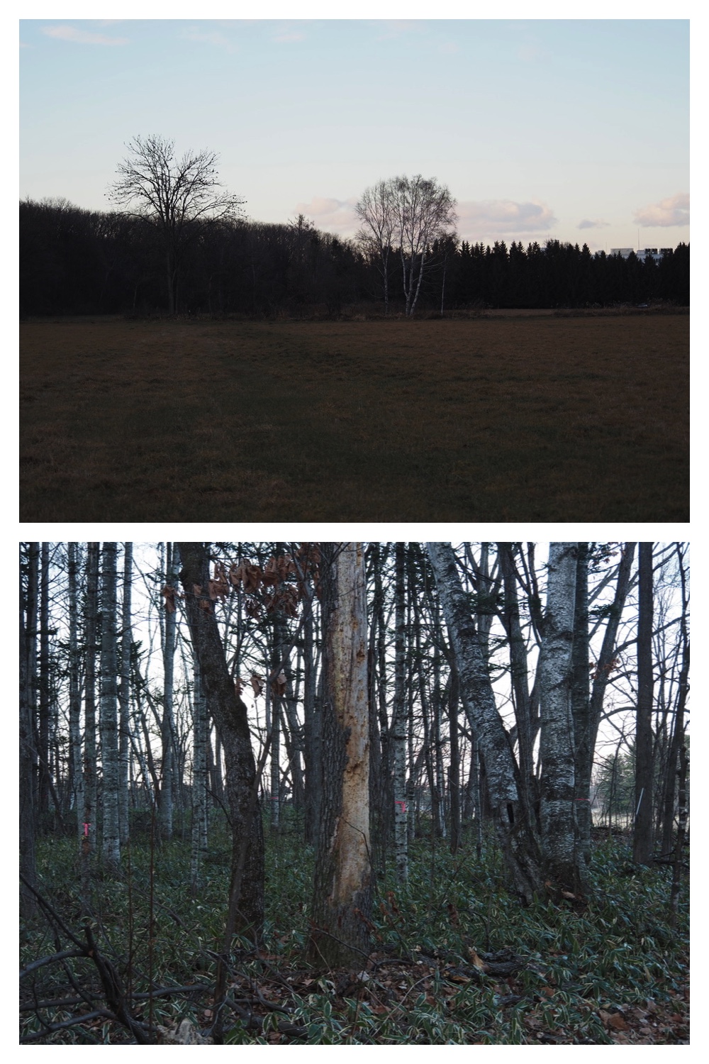 241207_Walk_4