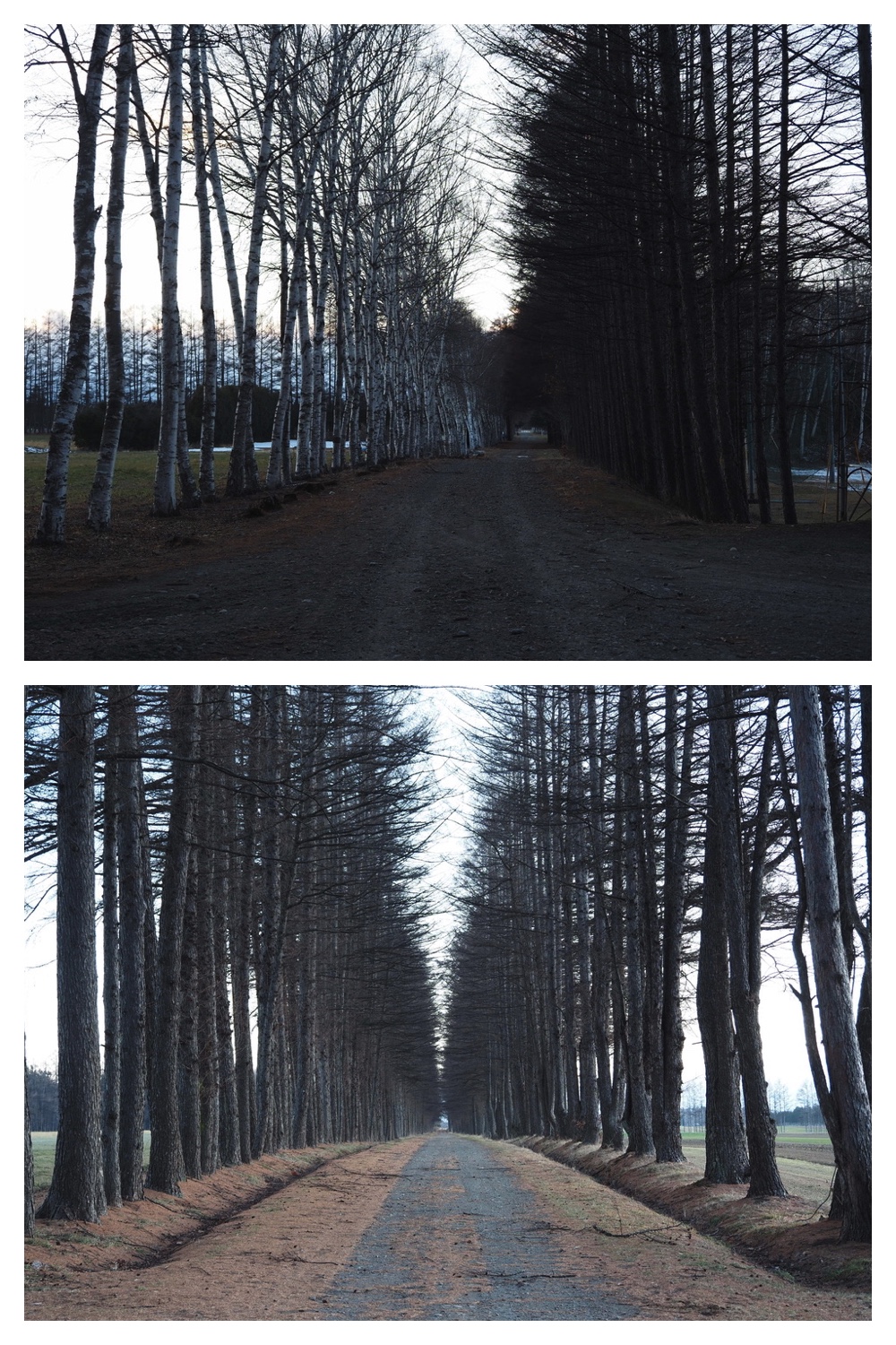 241207_Walk_5