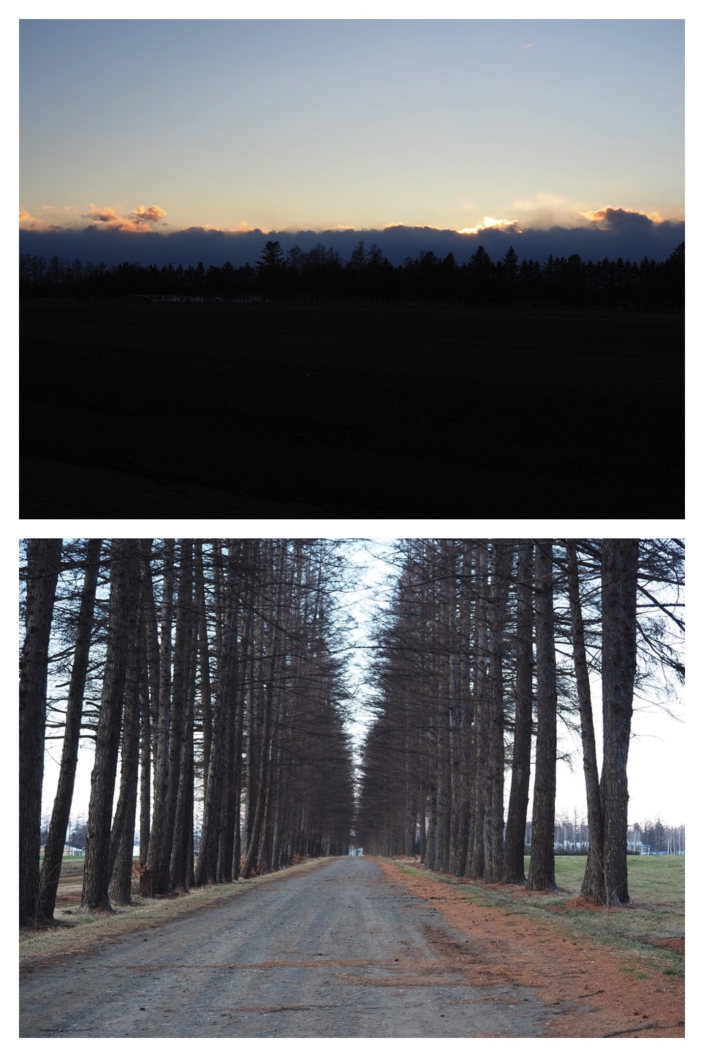 241207_Walk_6