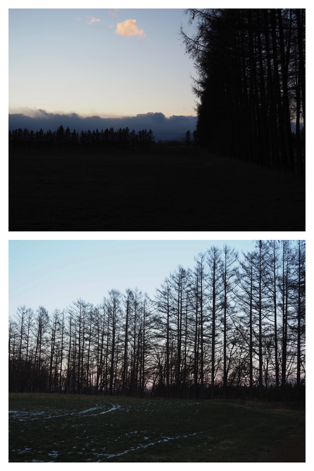 241207_Walk_7