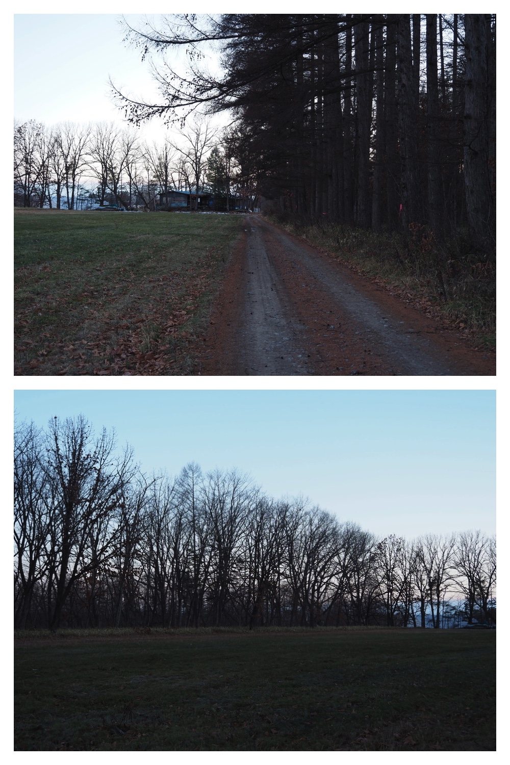 241207_Walk_8