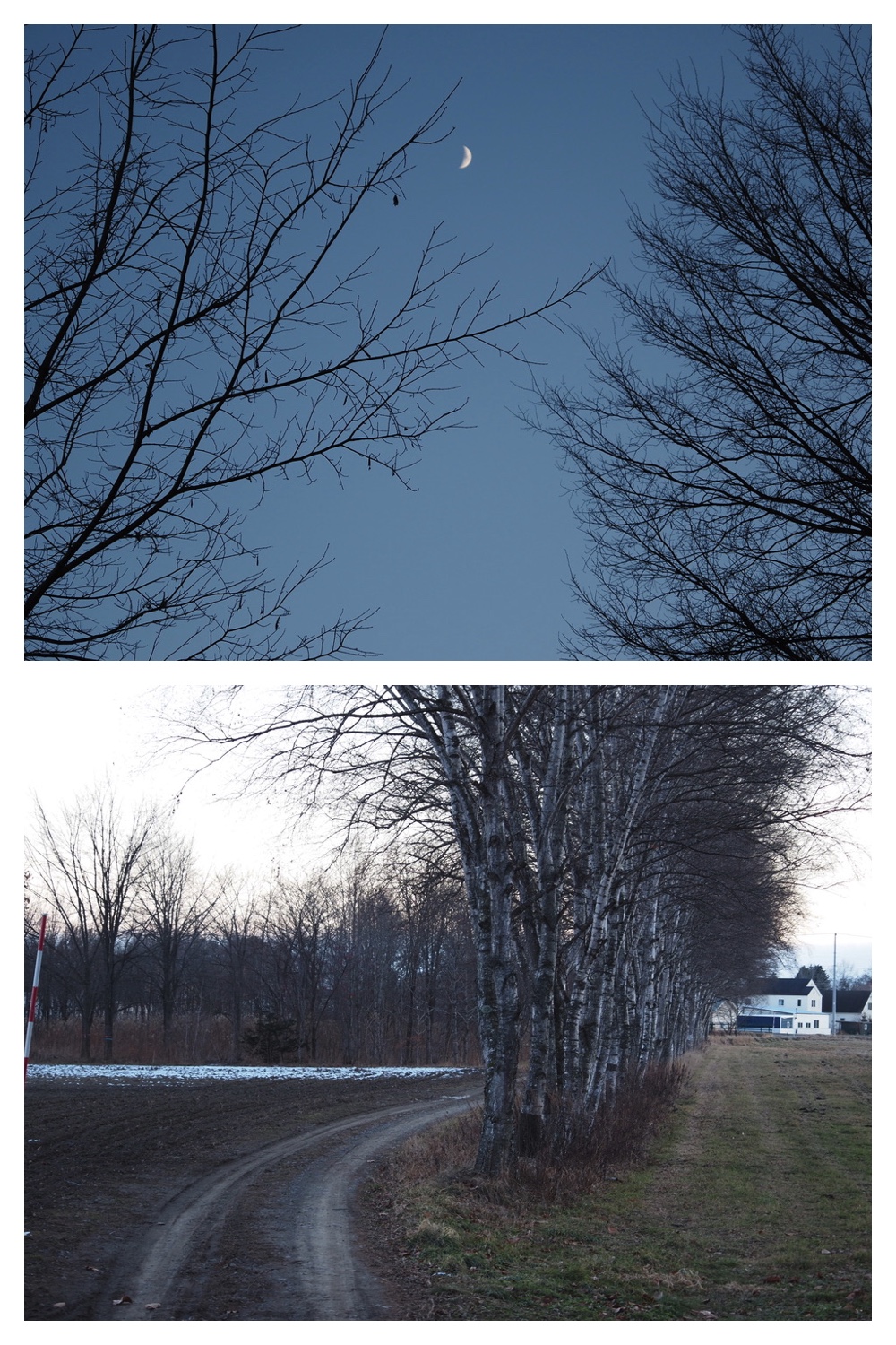 241207_Walk_9